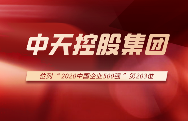人生就是博集团列2020中国企业500强第203位！